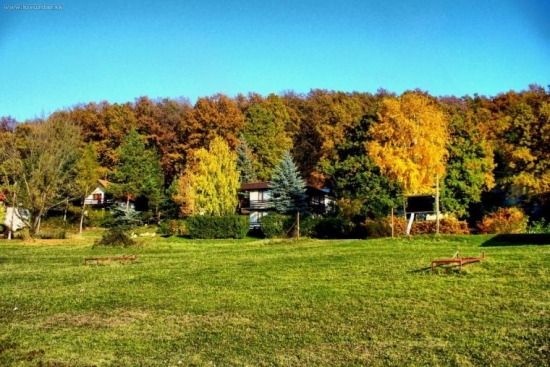 Ružiná