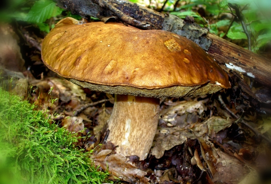 čakal tam na mňa :))