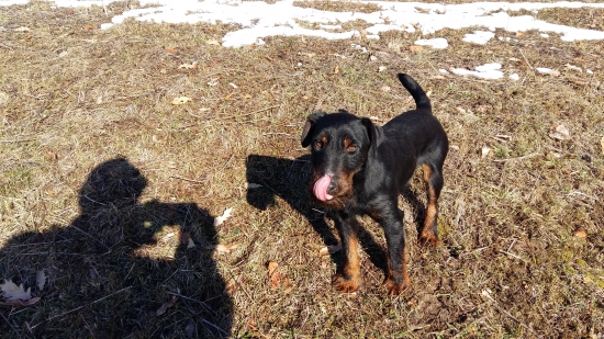 Rendy Komjaticke jazero