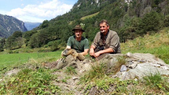 Lov Svišta Alpy Uttendorf