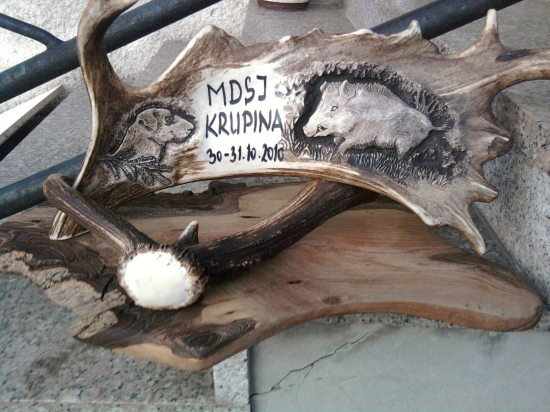 cena na MDSJ KRUPINA