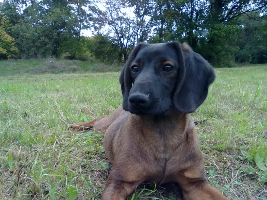 ADA Trebostovskej doliny