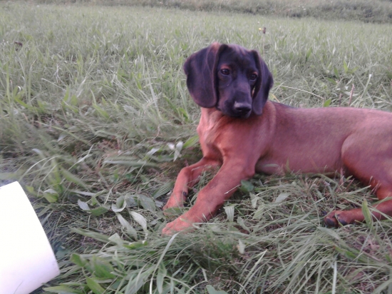 ADA Trebostovskej doliny 2