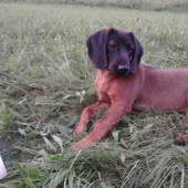 ADA Trebostovskej doliny 2