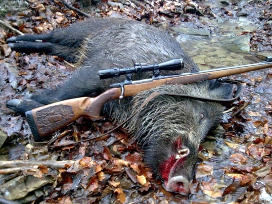 Jeden z mojích vlaňajších