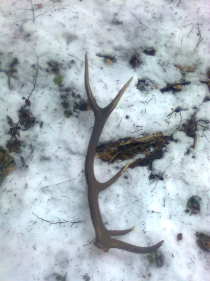 MDZ moj osvedceny stastny den