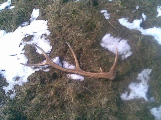 dlho hladany a najdeny :-)