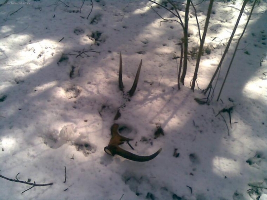 ...ale tento nedal na seba dlho čakat