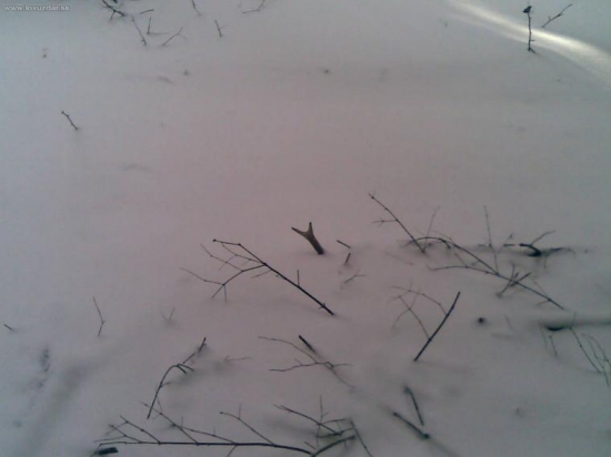 Aj minuloročný poteší