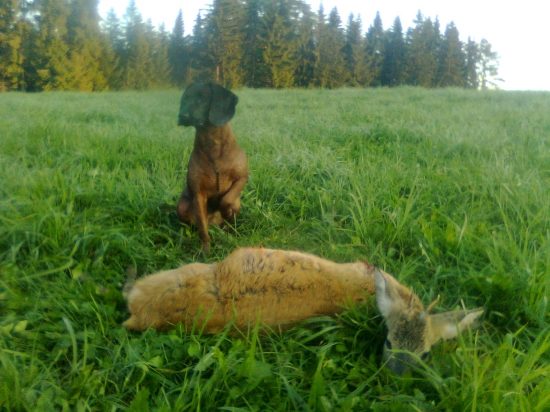 jednotka
