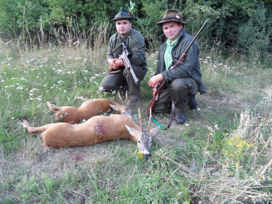 morava2012