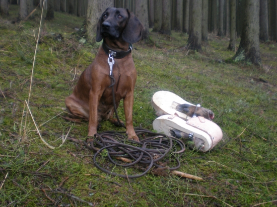 konečne po dlhej zime chytame formu :)