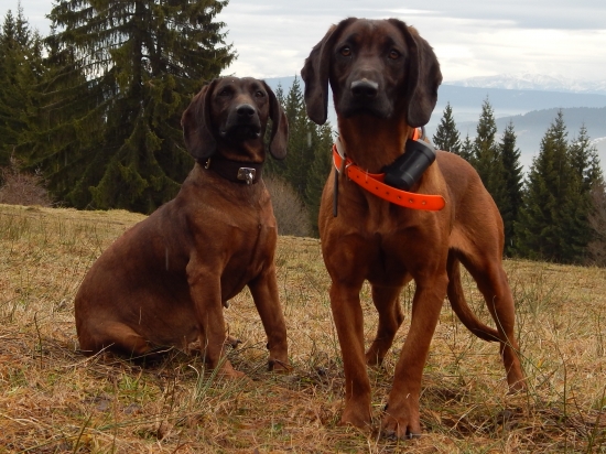 Afra-prve narodeniny