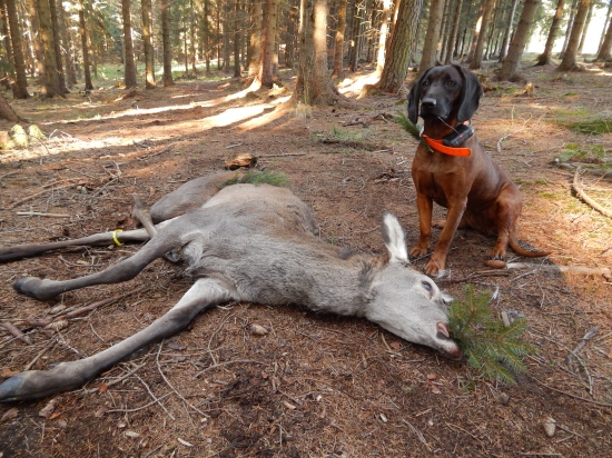 prácička ako víno