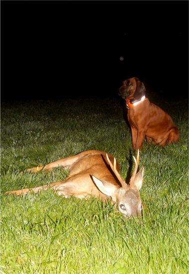 preverenie nástrelu