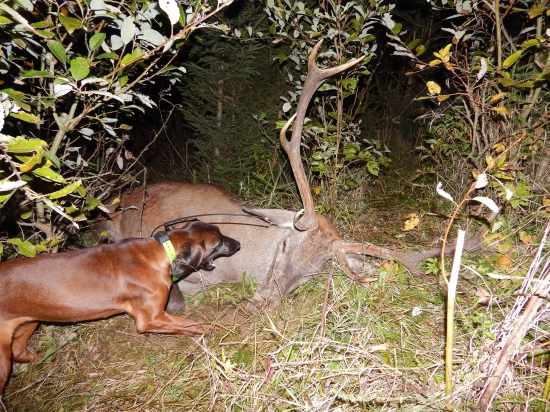 keď si strelec myslí že netrafil