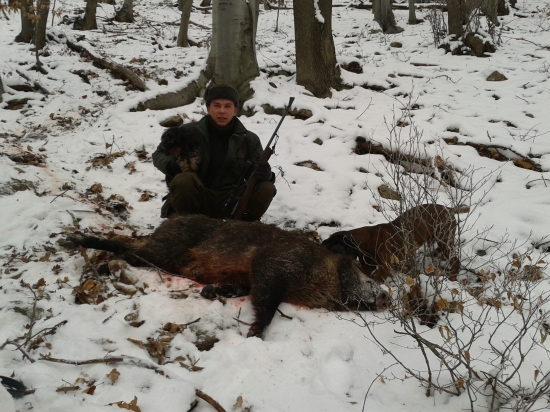 Dohľadávka diviaka