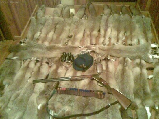 kazda jedna kuše a niekedy az velmi