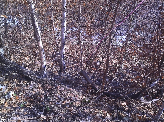 Naj... z minulého roku...