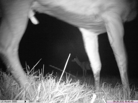 pripravený-cieľ zameraný