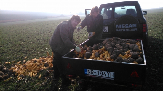 aby zver mala dobrú kondíciu