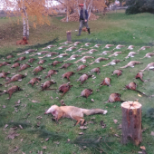 spomienka na lovecku sezonu