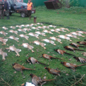 spomienka na lovecku sezonu II.