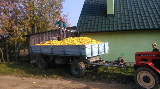 chystali sme na zimu