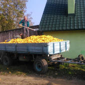 chystali sme na zimu