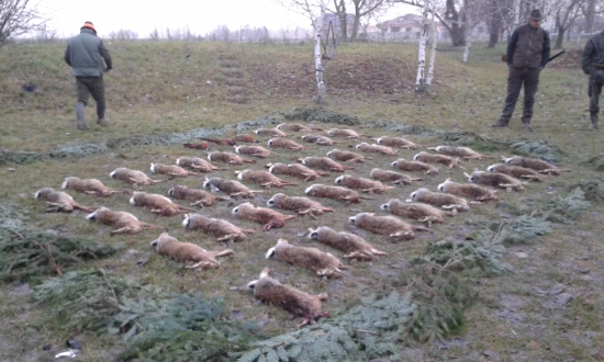pre tento rok staci