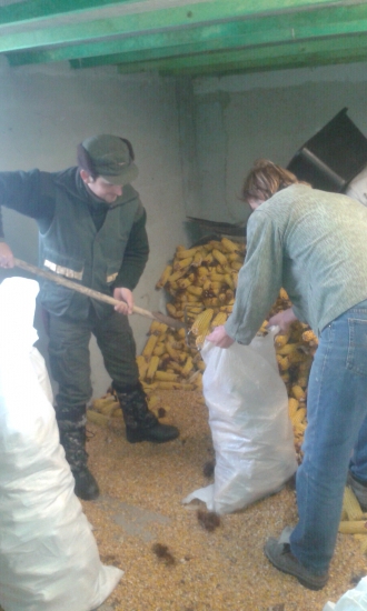 Prvorada činnost v polovnictve!