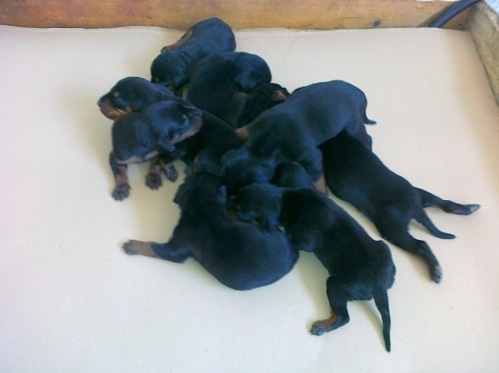 Už máme desať dní.