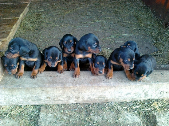 Už chceme ísť vonku.