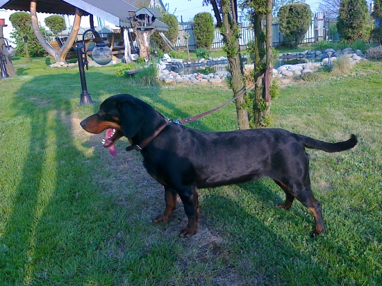 zajtra idem na klubovku-tr.pracovná.