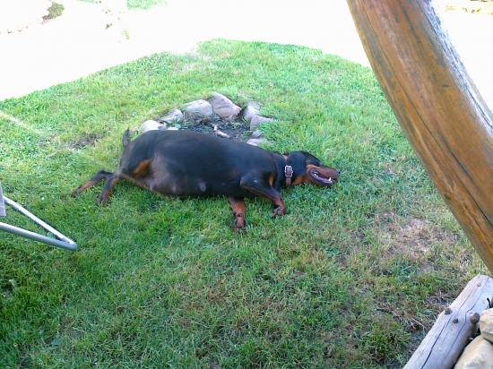 Už iba dva týždne,musím vydržať.