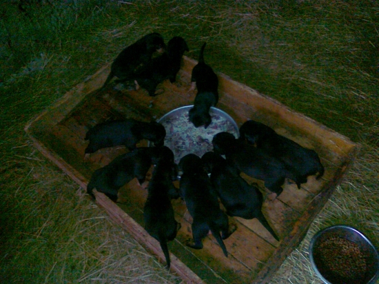 Dnes máme 4týždne.