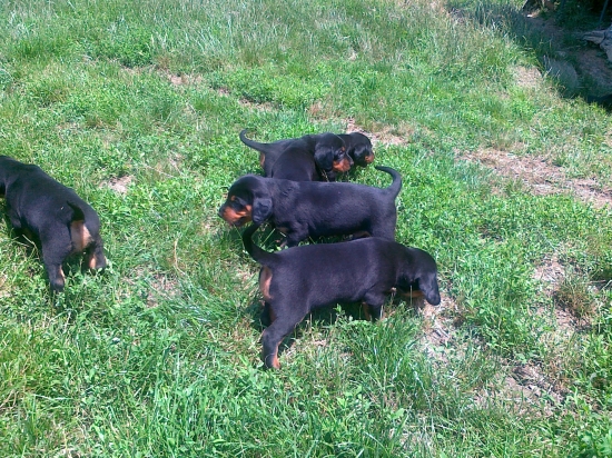 Vonku sa cítime lepšie.