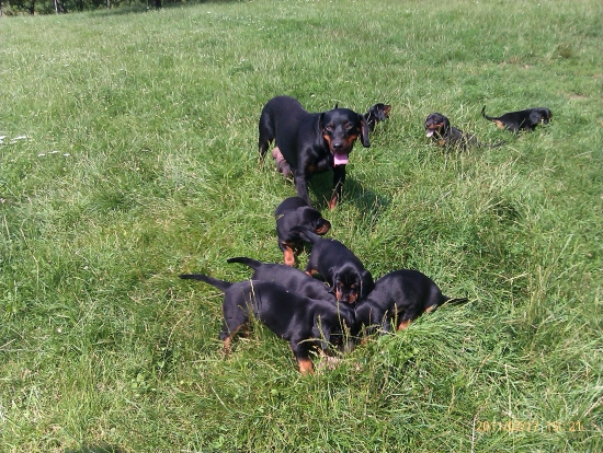 Mám to pod kontrolou.