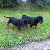 Čože to tam je?
