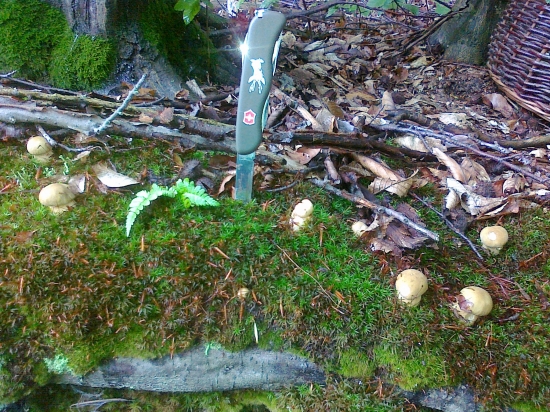 Pridte po nás o dva dni.