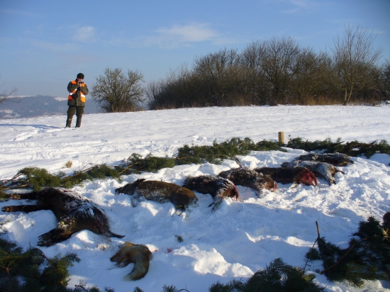 Výrad po nádhernej poľovačke u susedov.