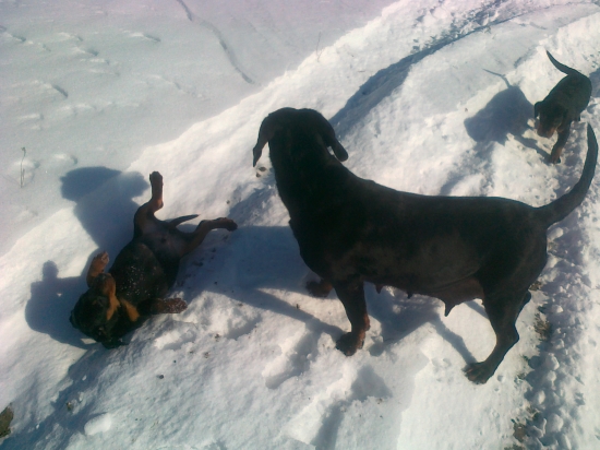 Mama sa chce guľovať.