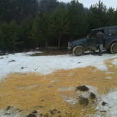 Prikrmovanie