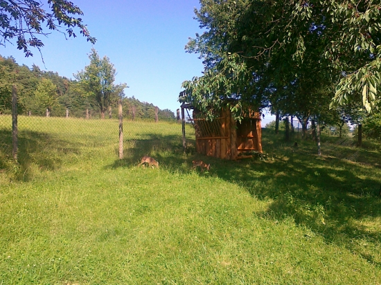 Zatiaľ sa držia.