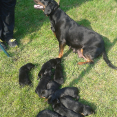 chvíľka na slniečku