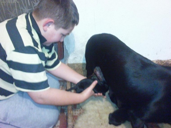 starostlivosť o plné bruško