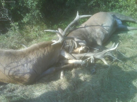 ľudska nedbanlivosť