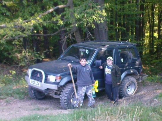 A ide sa sadiť topinambur