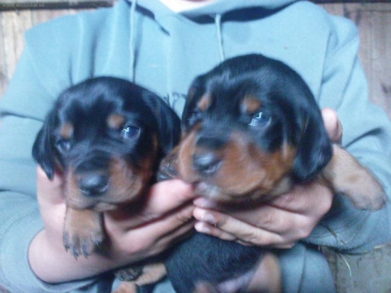 Už máme 2,5týždňa