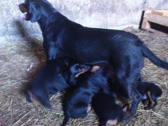 Mama to ma ťažké.